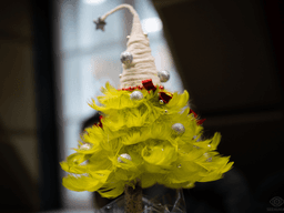 Trzy rozmowy, trzy perspektywy, jedno światło – Narodzony Bóg 🎄✨