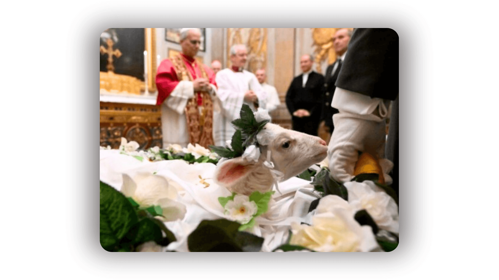 Baranki św. Agnieszki – papieska tradycja z polskim sercem