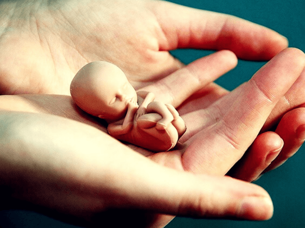 Stanowisko Zespołu Ekspertów KEP ds. Bioetycznych wobec rezolucji „My Voice, My Choice”