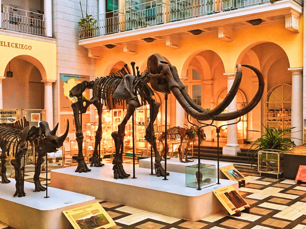 Darmowe muzea w Warszawie – przewodnik po kulturze bez wydatków!