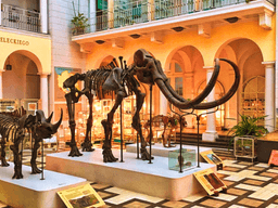 Darmowe muzea w Warszawie – przewodnik po kulturze bez wydatków!