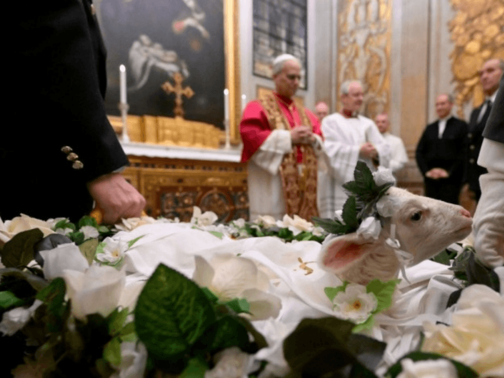 Baranki św. Agnieszki – papieska tradycja z polskim sercem
