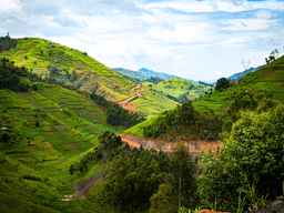 Polscy misjonarze w Rwandzie i Burundi: wiara, edukacja i troska o całego człowieka