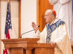 Kard. McElroy: wojna USA z Iranem nie spełnia zasad „wojny sprawiedliwej”