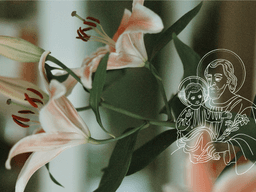 Droga św. Józefa. Dziewięć dni, które prowadzą przez codzienność