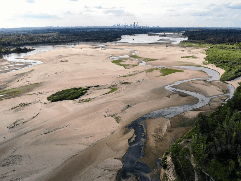 Susza hydrologiczna na Mazowszu. Eksperci alarmują: deszcz to za mało