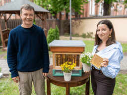 Wiosna w pasiece. Kiedy pszczoły zaczynają pracę i jak wygląda życie ula?