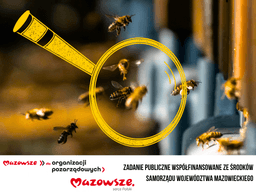 Pasieka pod lupą
