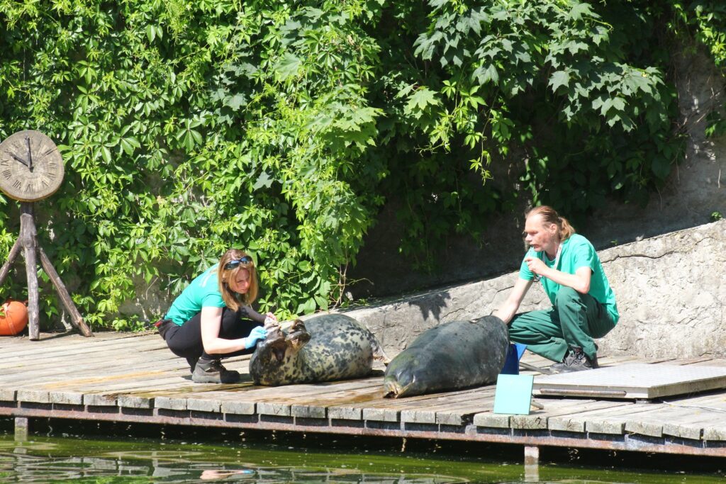 Zobacz karmienie w ZOO Zobacz karmienie w ZOO