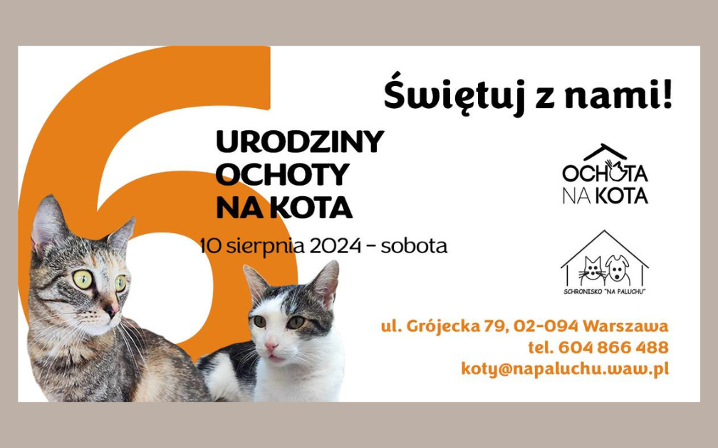 Ochota na kota obchodzi 6 urodziny