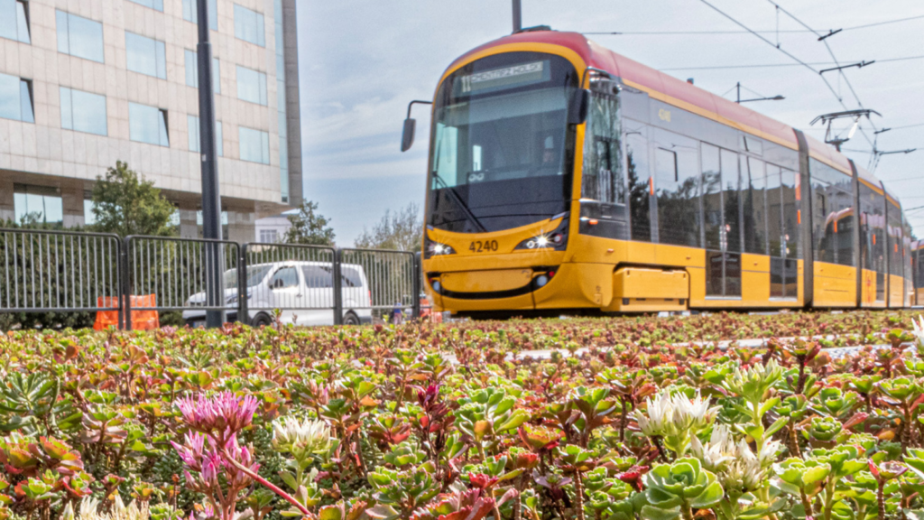 Przez najbliższy miesiąc duże utrudnienia tramwajowe w Warszawie