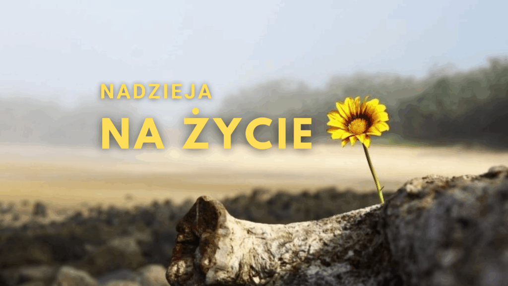 Trzy razy nadzieja – świadectwa Trzy razy nadzieja – świadectwa