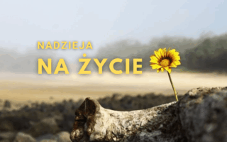 świadectwa