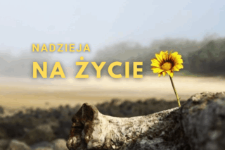 świadectwa