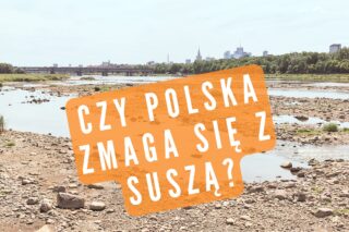 Susza? Niski stan wody w Wiśle | Fot. PAP