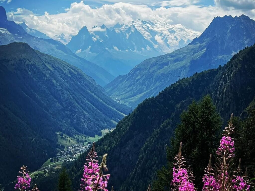 Światowy Dzień Fotografii