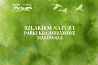 parki krajobrazowe mazowsza