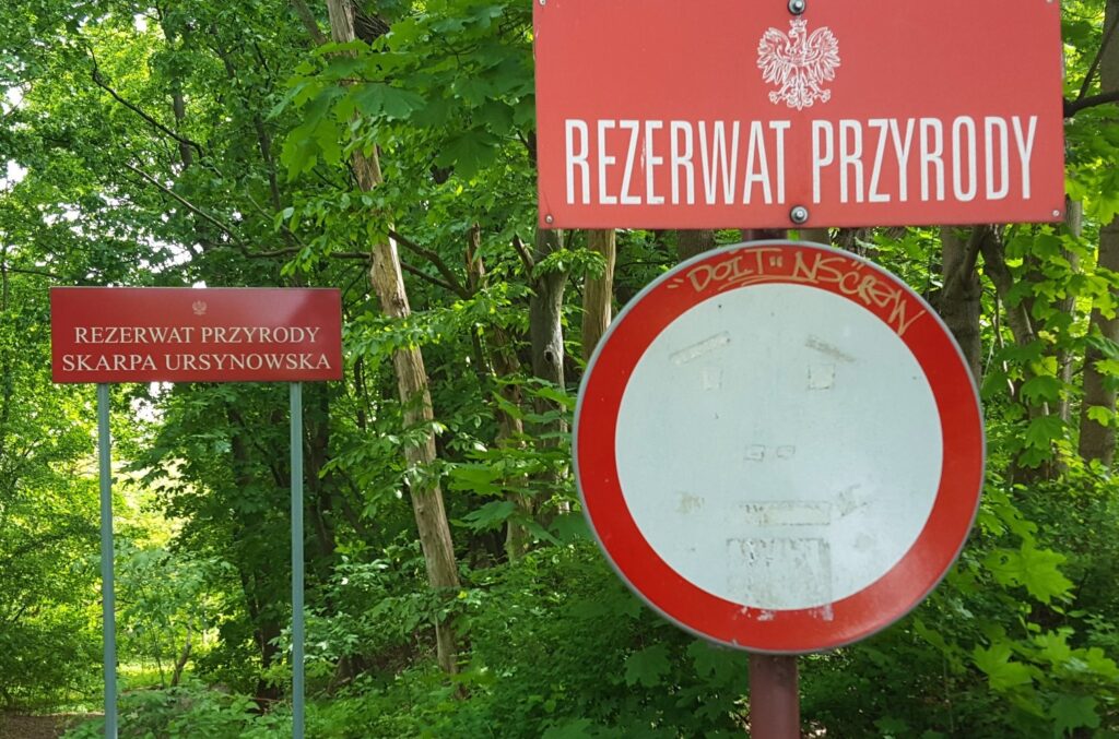 Skarpa Ursynowska w Warszawie – dlaczego rezerwat jest zamknięty? Skarpa Ursynowska w Warszawie – dlaczego rezerwat jest zamknięty?