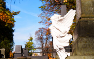 Ramówka Świąteczna