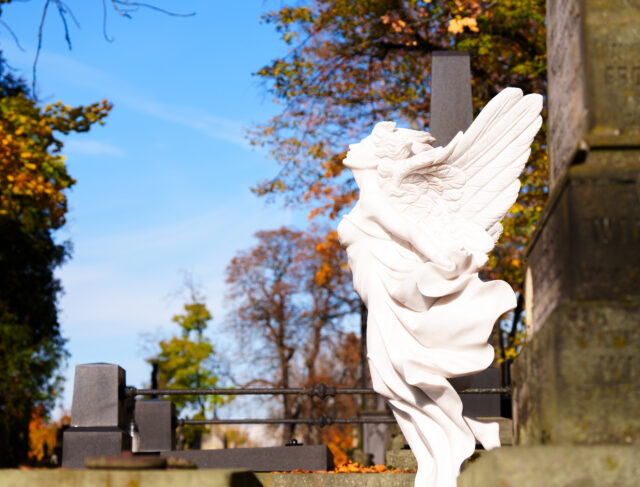 Ramówka Świąteczna